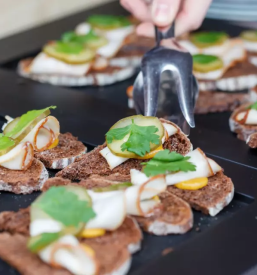 Ugoden catering dornava