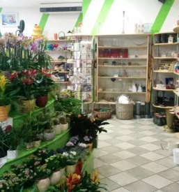 Vrtnarstvo in cvetlicarna sevnica