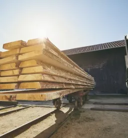 Žaganje lesa Ivančna Gorica