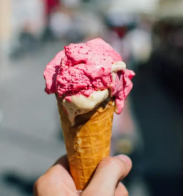 Domaci sladoled krsko