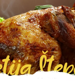 Kvalitetno piscancje meso v sloveniji