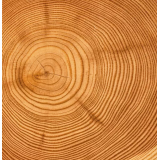 LESMAR MARIJA PETERKA S.P.