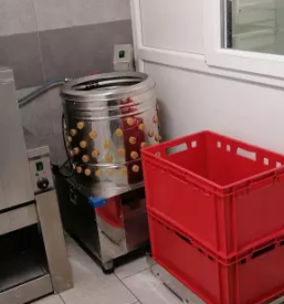 Prodaja in dostava piscancjega mesa slovenija