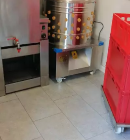 Prodaja in dostava piscancjega mesa slovenija