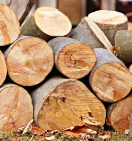 Secnja in spravilo lesa litija