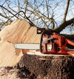 Secnja in spravilo lesa litija