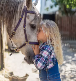 Terapija in delavnice s konji metlika