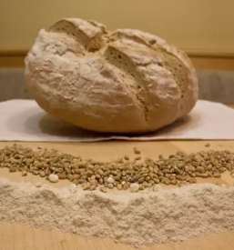 Trgovina z lokalnimi izdelki šmarješke toplice