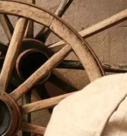 Trgovina z lokalnimi izdelki smarjeske toplice