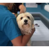 AMBULANTA ZA MALE ŽIVALI POBREŽJE, D.O.O.