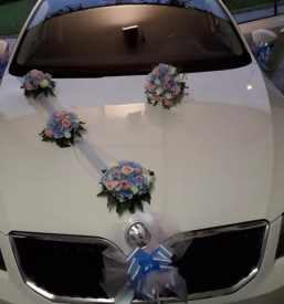 Cvetlicarna zelezniki