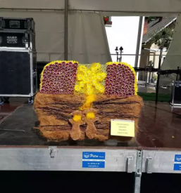 Cvetlicarna zelezniki