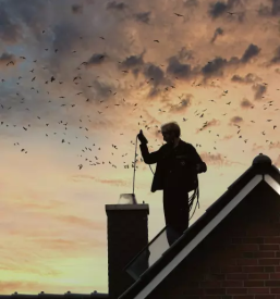 Dimnikarstvo trebnje okolica