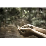 KMETIJSKO SVETOVANJE, DRAGO BRUMEC S.P.