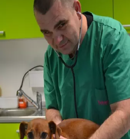Dobra veterinarska ambulanta kranj