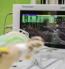 Dobra veterinarska ambulanta litija