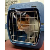 VETERINARSKA POSTAJA LITIJA D.O.O.