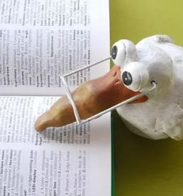 Instrukcije in lektoriranje slovenscine nova gorica okolica