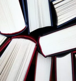 Instrukcije in lektoriranje slovenscine nova gorica okolica