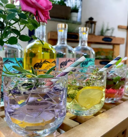 Proizvodnja gina Slovenija