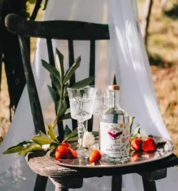 Brezalkoholni gin