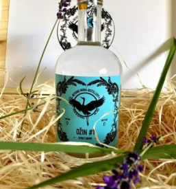 Najboljši slovenski gin