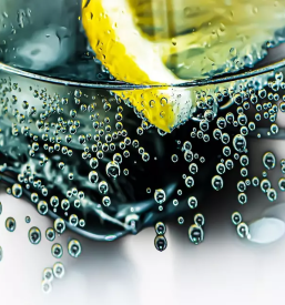 Najboljsi bar gornja radgona