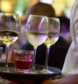 Najboljsi bar gornja radgona