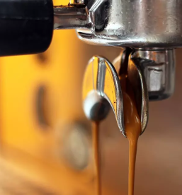 Najboljsi bar gornja radgona