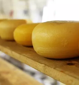 Prodaja domacega sira vipava