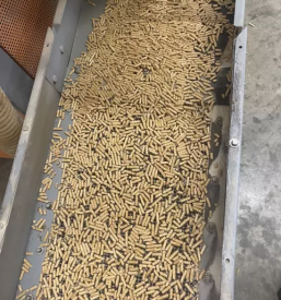 Prodaja in prevoz peletov podravska