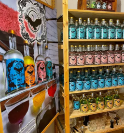 Kvaliteten slovenski gin