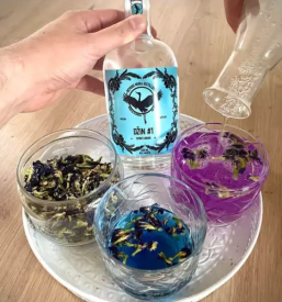 Prodaja gina Domžale slovenija