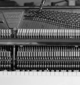 Servis in vzdrzevanje pianin koroska