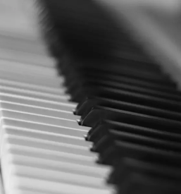 Servis in vzdrzevanje pianin koroska