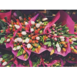 MAJLU CVETJE IN DEKOR MAJA SERAŽIN ČESEN S.P.