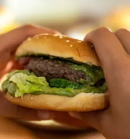 Dobri burgerji in palacinke trzic okolica