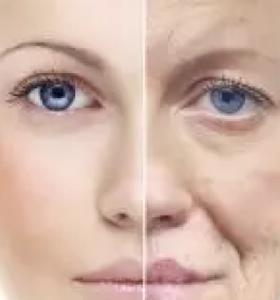 Joga za otroke in odrasle koper