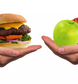 Prehransko svetovanje slovenske konjice