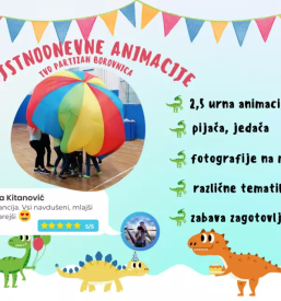 Organizacija športnih dogodkov