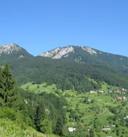 PD Železniki