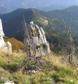 Planinsko društvo Železniki