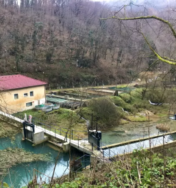 Ribiska druzina novo mesto okolica