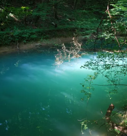 Ribiska druzina novo mesto okolica
