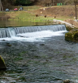 Ribiska druzina novo mesto okolica