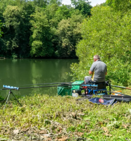 Ribiska druzina novo mesto okolica