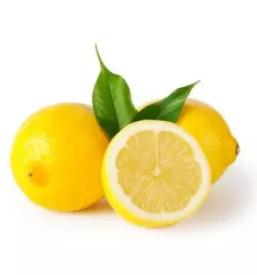 Spletna prodaja bio citrusov pomaranc slovenija