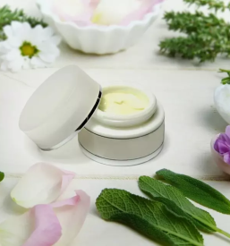 Spletna prodaja profesionalne naravne kozmetike ljubljana