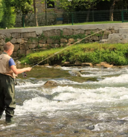 Ribiska druzina dolenjska