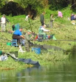 Ribiska druzina novo mesto